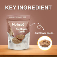 Classic Sunflowers Seeds | 500g image 8