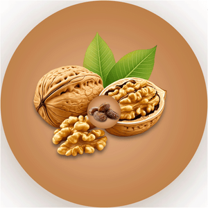Walnut